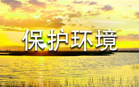 ���o(h��)�h(hu��n)��������؟(z��)���(hu��)���(d��ng)�̰�ģ�壨ͨ��16ƪ��