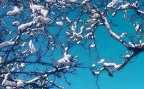 ��������ĔM�˾�