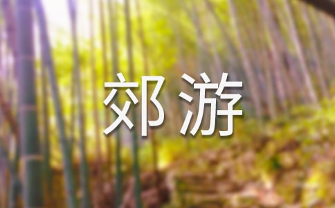 一次郊游作文優秀(8篇)