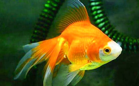 ���~����400��