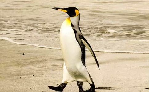 �а����g�̰����옷�����Z