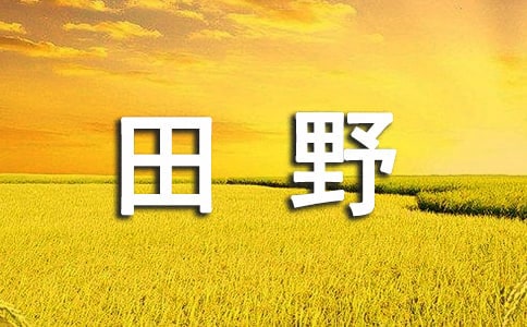 ��(sh��)�õ���������Ұ���ąR��(10ƪ)