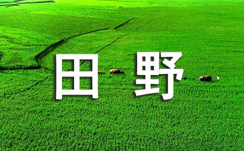【精品】美麗的田野作文