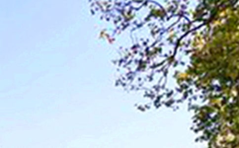 ů���簲�f(shu��)�f(shu��)30��