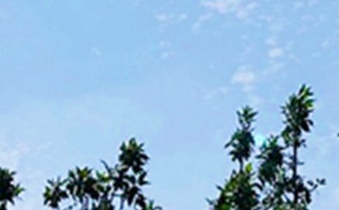 ���̵��m�����ϰl(f��)���簲�����Zժ�61��