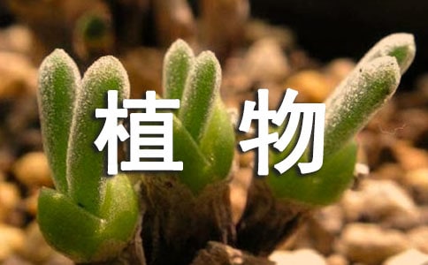 �����x���Nֲֲ���^����ӛ��ƪ