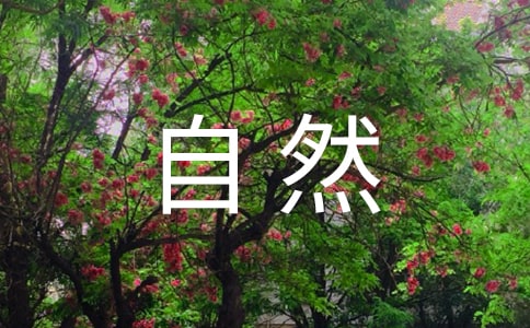 ����Ȼ�o��Ć�ʾ����12ƪ