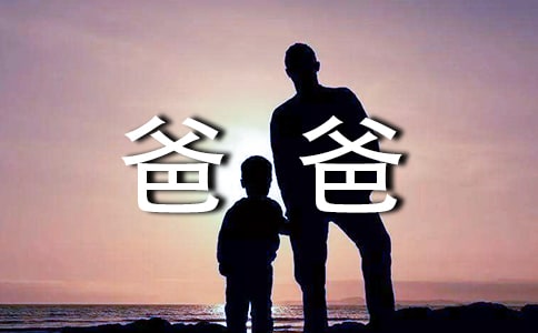 爸爸請(qǐng)?jiān)賽?ài)我一次作文