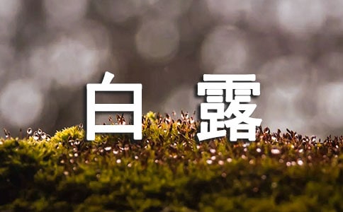 ��¶��(ji��)���f(shu��)�f(shu��)�����x500�䣩