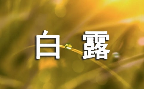 白露唯美文案