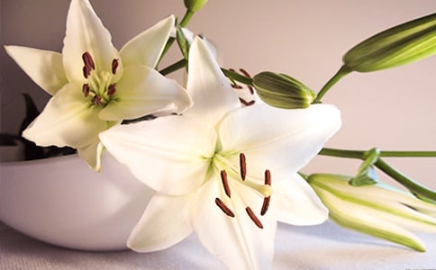 《百合花》導(dǎo)學(xué)案(精品)