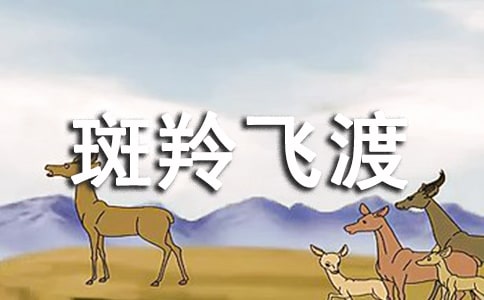 《斑羚飛渡》的語(yǔ)文課件