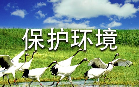 大班《保護環(huán)境》教案(通用13篇)