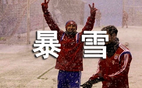 暴雪冰凍災(zāi)害處置方案范文通用