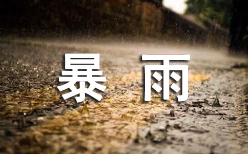 暴雨應(yīng)急預(yù)案(通用10篇)