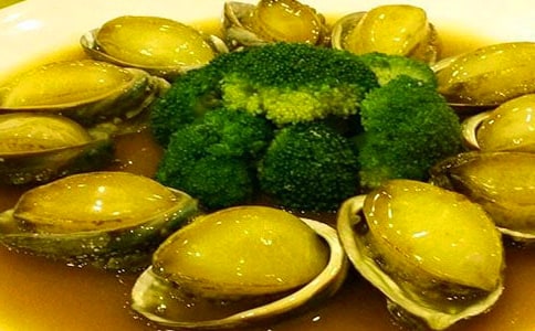 鮑魚殼上的發(fā)現(xiàn)作文