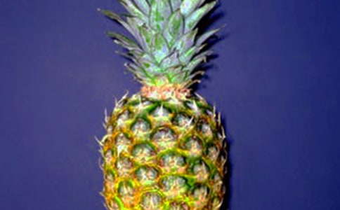 �P�ڲ��}����