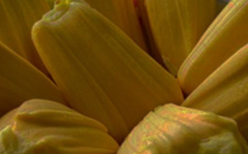 菠蘿蜜小學生作文