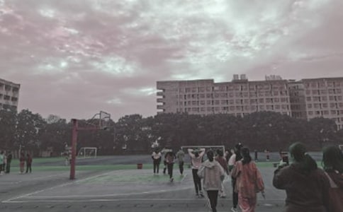 �W(xu��)У�Ĳو�����[����]