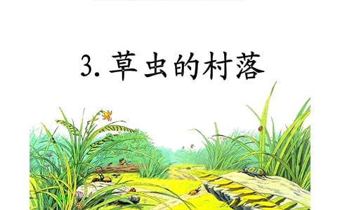 《草蟲的村落》說課稿