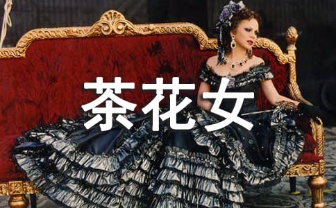 最新《茶花女》感想5篇