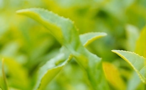 ���~ί�мӹ���ͬ���\7ƪ