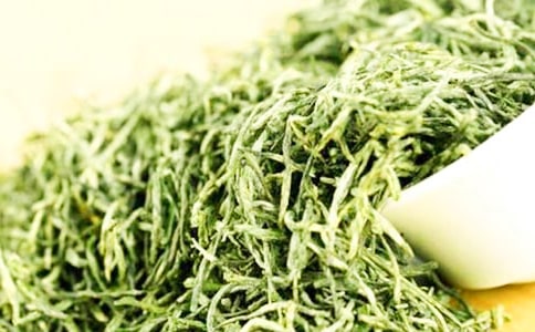 參觀茶葉博物館作文(通用19篇)