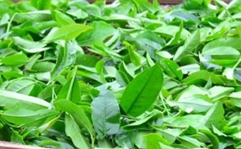茶葉供貨合同模板