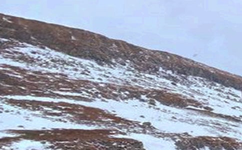 東北長白山旅游景點導(dǎo)游詞