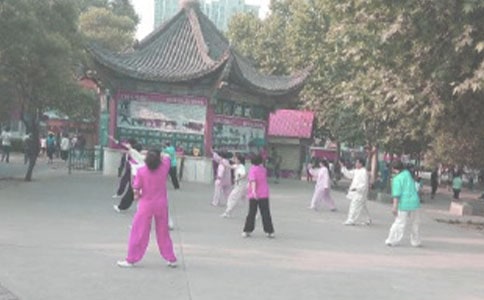 �����и�����_�ĵ��w��