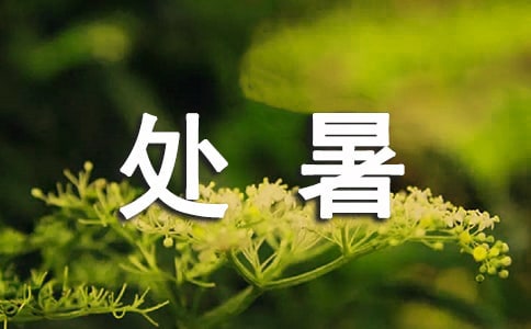 (實(shí)用)處暑優(yōu)美文案
