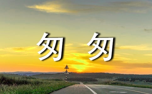 歲月無聲別匆匆美文欣賞