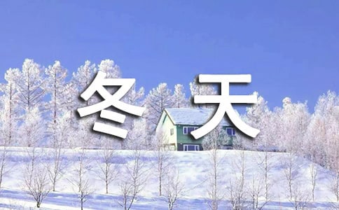 在冬天里的溫暖作文