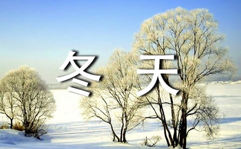 冬天的優(yōu)美文案(精選90句)