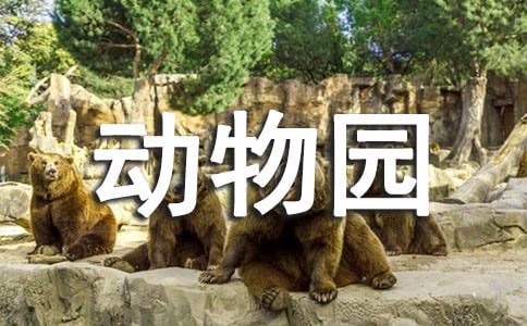 動物園看圖寫話(精選12篇)