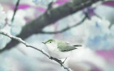 �L����ֲ�﹫�@�����~