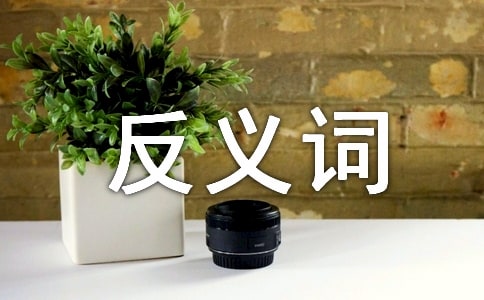 罪反義詞是什么呢
