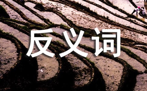 含有反義詞的詞語