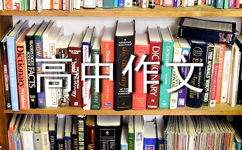【精品】奮斗高中作文4篇
