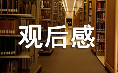 穹頂之下觀后感(通用21篇)