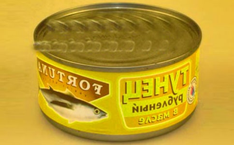 中班優(yōu)秀主題教案《草地上的空罐頭》