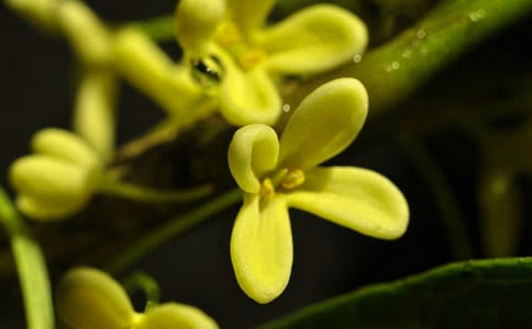 �𻨵��S�P���ģ����x32ƪ��