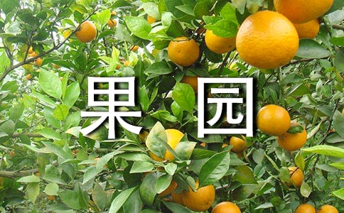 ���@�а���ͬ(���T)