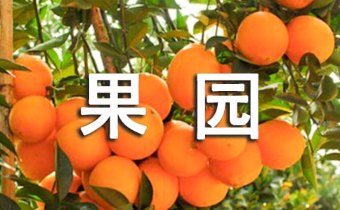 描寫(xiě)果園的優(yōu)美句子段落匯聚
