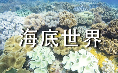 中班美術(shù)《海底世界》教案(精選16篇)