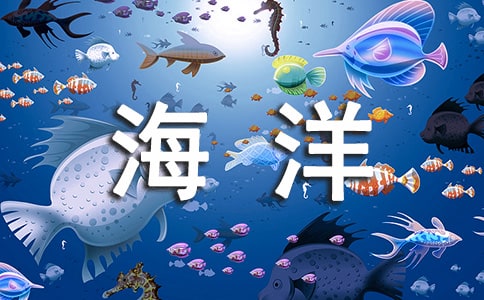 海洋最大的動物是什么