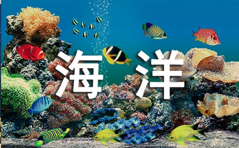 Ψ�����纣�����İ�