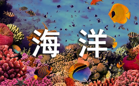 �茑�����(d��ng)��ă�(y��u)������
