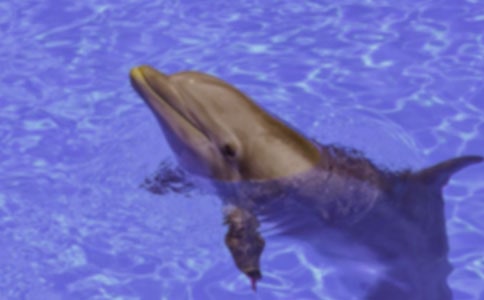 ���P�{ɫ�ĺ����u�x���ĵ�