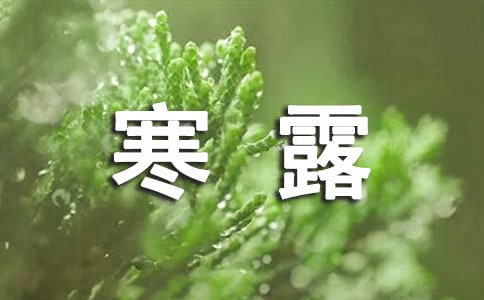 ��¶��(ji��)��Ψ���İ�
